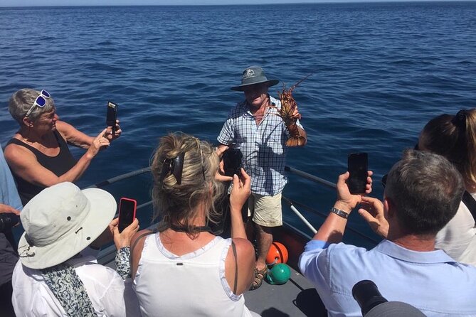 Akaroa Wildlife Cruise - Accessibility Options