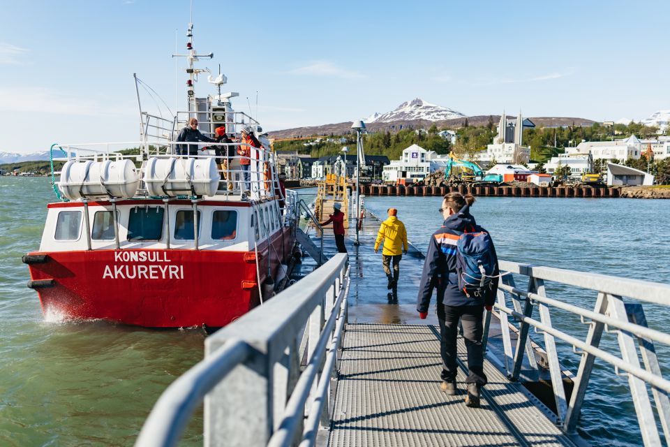 Akureyri: 3-Hour Classic Whale Watching Tour - Customer Reviews