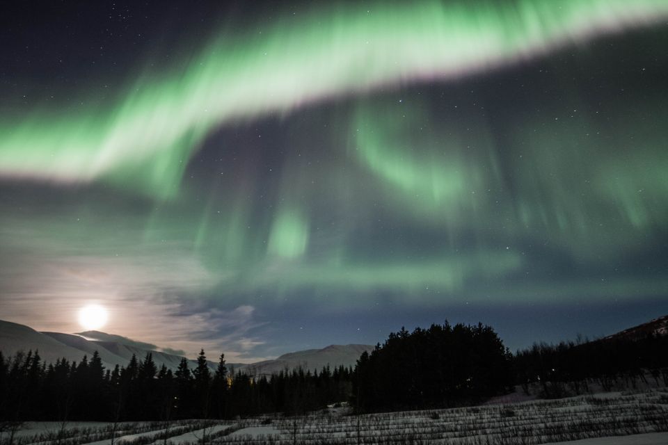 Akureyri: Northern Lights 4WD Day Trip - Frequently Asked Questions