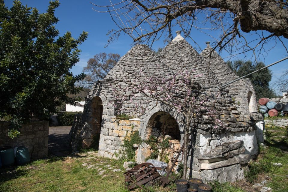 Alberobello E-Bike Tour, Trulli, Aperitivo and Donkey Farm - Savoring the Apulian Aperitivo Experience