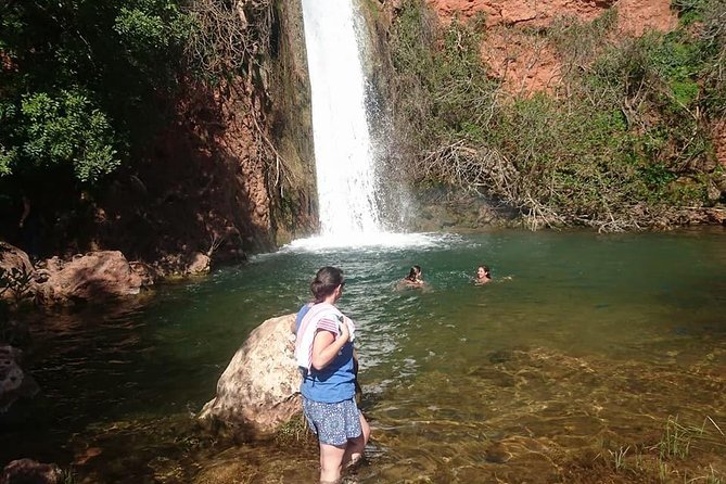 Albufeira (FULL DAY) Jeep Safari Tour - Savoring Local Cuisine and Wine