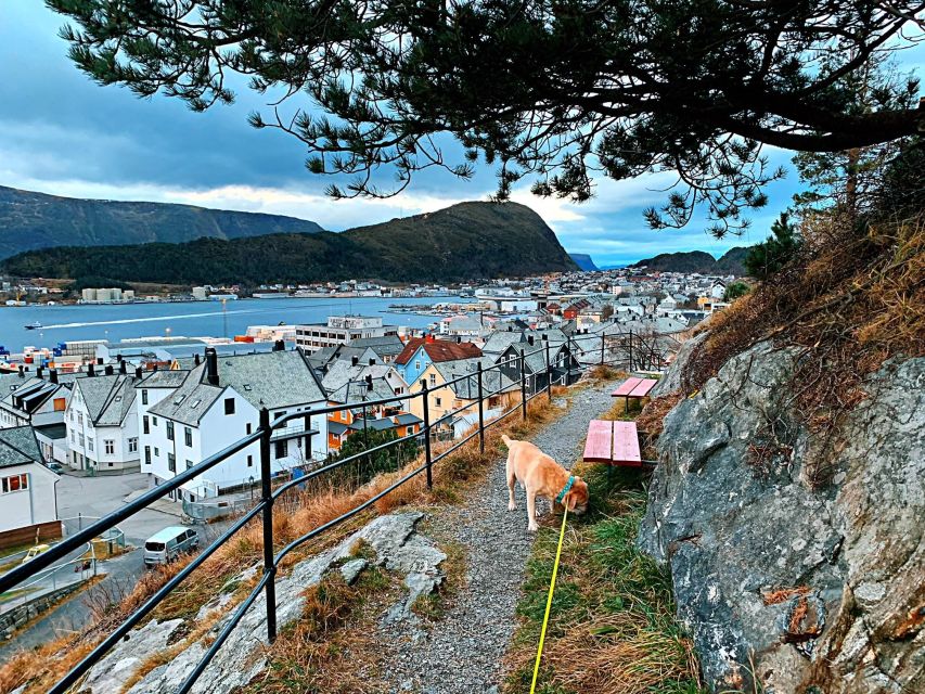 Alesund Private Sightseeing Tour on Foot and by Car - Transportation and Accessibility