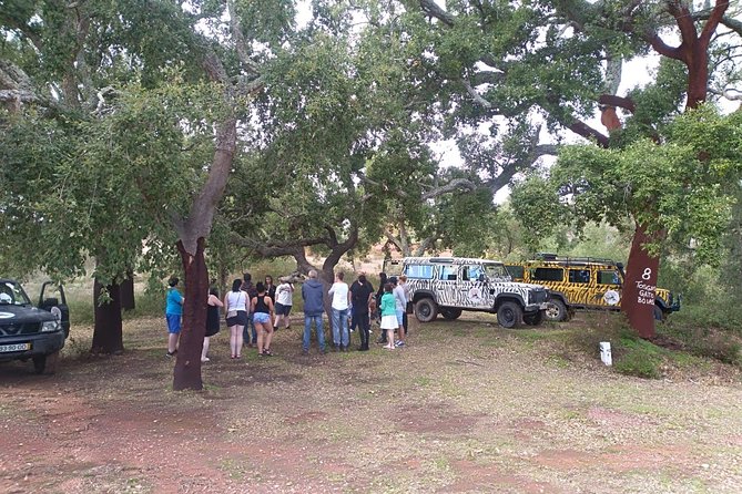 Algarve Half Day Jeep Safari Tour - Logistics