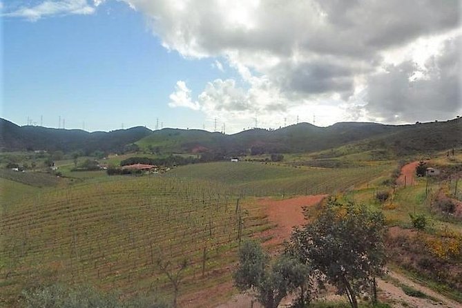 Algarve Wine Tour of Two Wine Estates - Pickup and Drop-off
