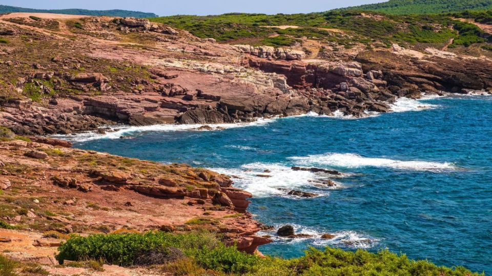 Alghero: Visit to the Nuraghe Palmavera and Porto Conte Park - Guided Tour in Italian and English