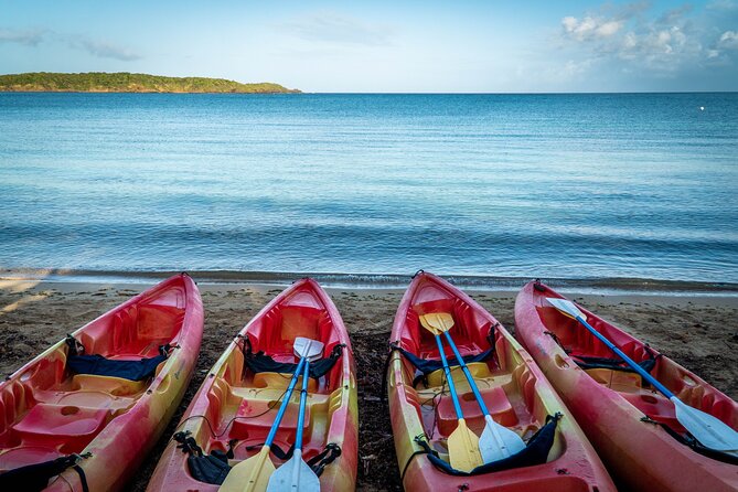 All Day Kayak Rental in Puerto Rico - Participation Requirements