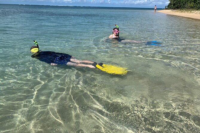 All Day Snorkeling Gear Rental in Puerto Rico - Participant Guidelines and Restrictions