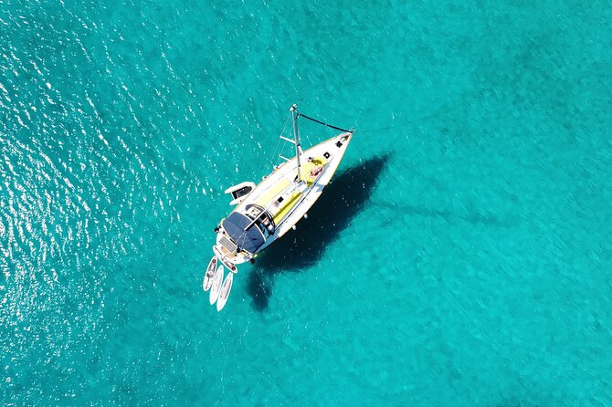 All Incl. Delos & Rhenia 12 Pax,Free Trans, Hotel/Cruise Pickup - Freshly Prepared Greek Lunch