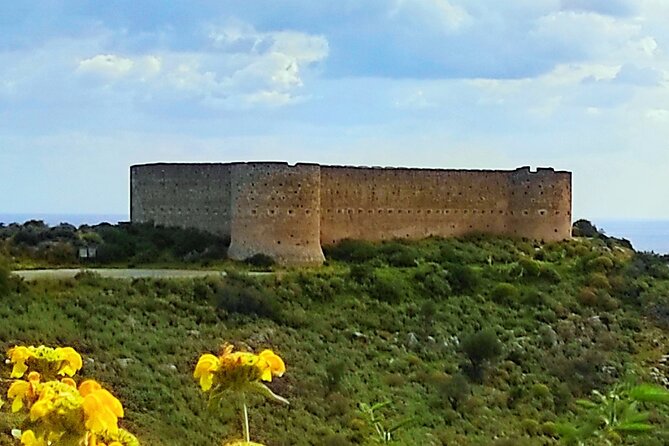 All Inclusive Full-Day Private Tour of Crete Villages From Chania - Customer Reviews and Feedback