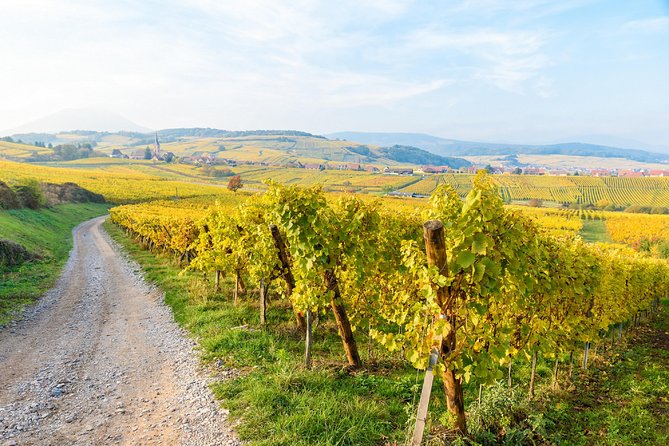 Alsace Villages Half Day Tour From Colmar - Discovering Hunawihr