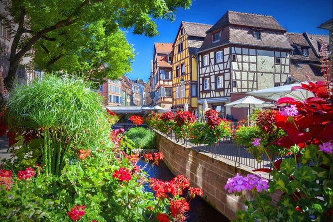 Alsace's Gems Small Group Day Tour From Colmar - Traveler Experiences