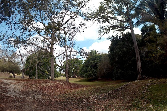 Altun Ha, Monkey Sanctuary and Rum Factory Tour From Belize City - Important Considerations