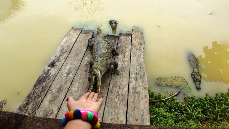 Amazon 2-Day, 1-Night Iquitos - Jungle Ancestors - Jungle Lodge Experience