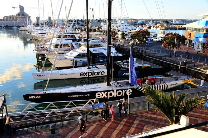 Americas Cup Sailing on Aucklands Waitemata Harbour - Reviews and Customer Feedback