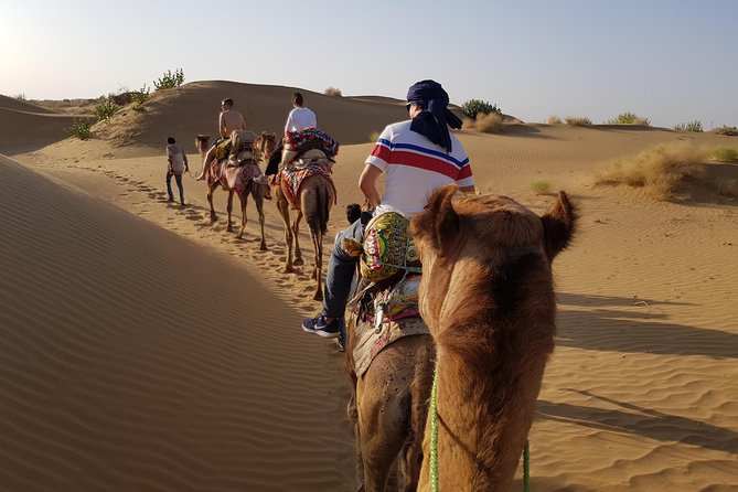 An Overnight Non-touristic Camel Safari (2PM to 11:30 AM Next Day)