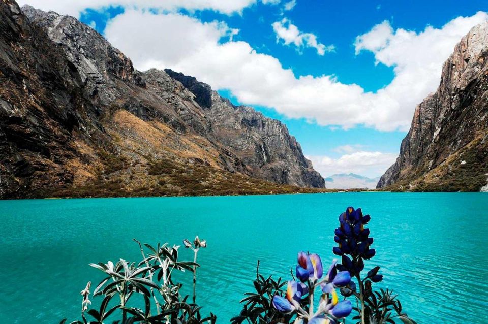 Ancash: Trekking to Llanganuco and Yungay Lagoon |Full Day| - Inclusions and Exclusions