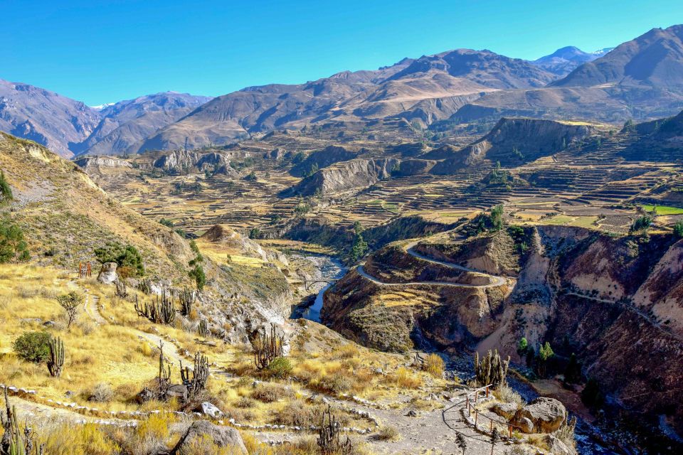 Andes: Colca Canyon Day-Trip - Customer Reviews and Ratings