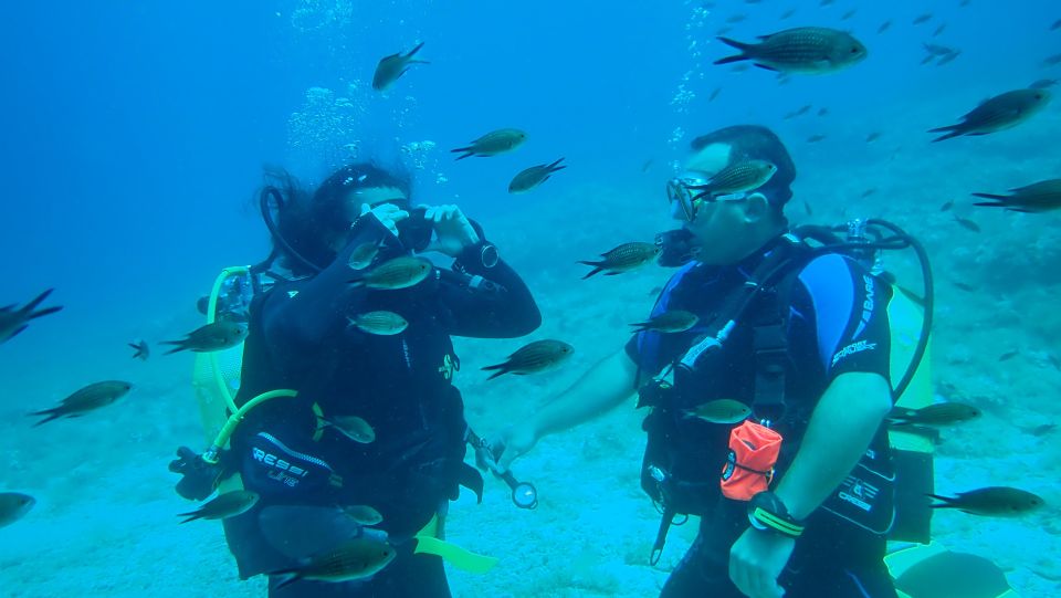 Andros: Get Your Padi Open Water Certificate! - Whats Included in the Course