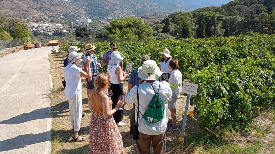 Andros Wine Tasting & Pythara Waterfalls Half-Day Tour - Agia Irini Monastery