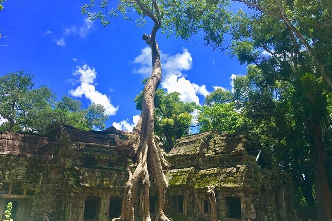 Angkor Wat One Day Private Tour for All Highlight Angkor Temples - Bayon Temple