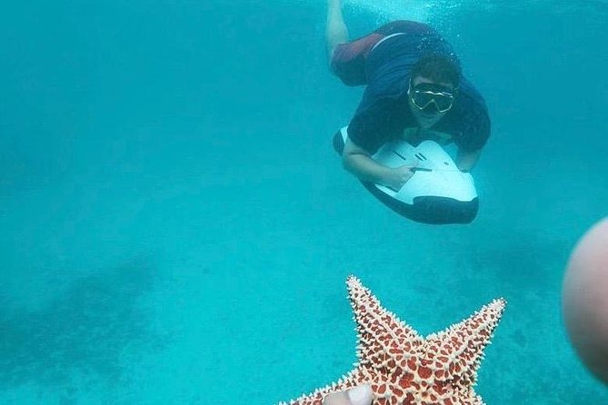 Antilla Shipwreck Seabob Tour - Customer Feedback Highlights