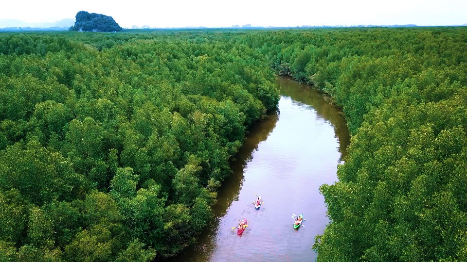 Ao Nang: Kayak Tour in Krabi Mangrove Forest With Lunch - Experienced Tour Guide