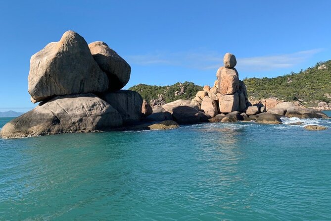 Aquascene Magnetic Island Discovery Tour - Wildlife Encounters