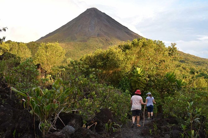 Arenal Highlights: Hanging Bridges, La Fortuna Waterfall, Volcano - Wildlife and Nature Spotting