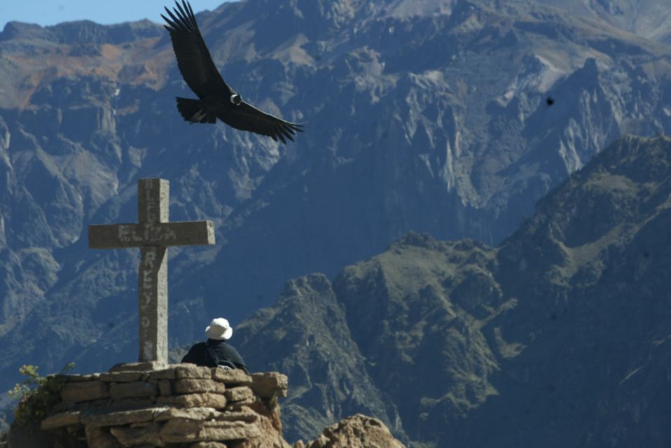 Arequipa & Colca Canyon Multi-Day Tour - Spotting Andean Condors