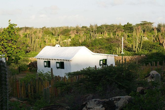 Arikok Adventurous Hiking Experience in Aruba - Inclusions and Pricing Details