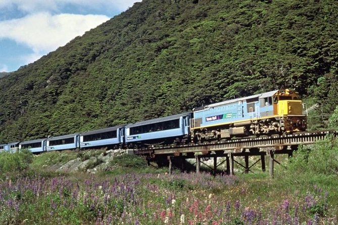 Arthurs Pass and Tranzalpine Train Day Tour From Christchurch - Guest Experiences