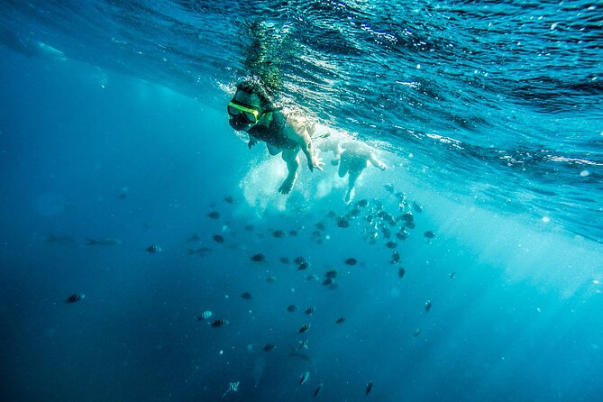 Aruba Afternoon Snorkel Sail Aboard Palm Pleasure Catamaran - Optional Snuba Dive Upgrade