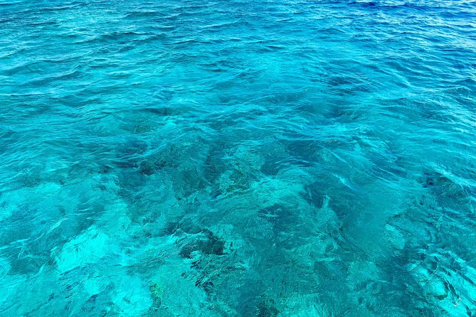 Aruba Element Private Boat Charter (L-Lounge) - Accessibility Considerations