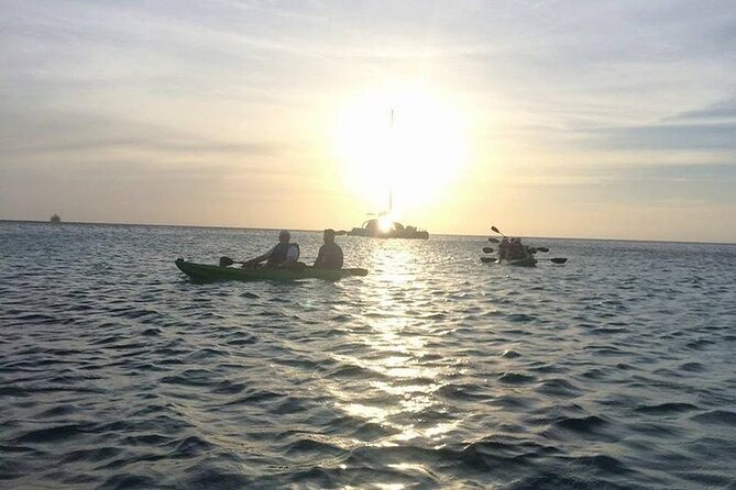 Aruba Glass Bottom Kayak Tour Through the Mangrove Forest - Isla Di Oro Beach