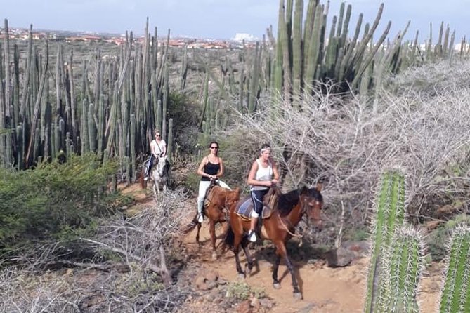 Aruba Horseback Riding Tour to Hidden Lagoon - Customer Experiences