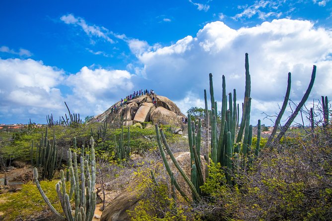 Aruba Island Sightseeing Tour Plus Arashi Beach Visit - Reviews and Feedback