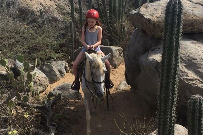 Aruba Private, 2 Hour Horseback Riding Tour For Advanced Riders - Meeting and Pickup Details