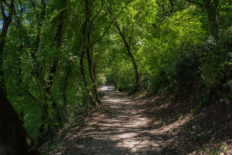 Assisi: Bosco Di San Francesco Entry Ticket - Meeting Point Information