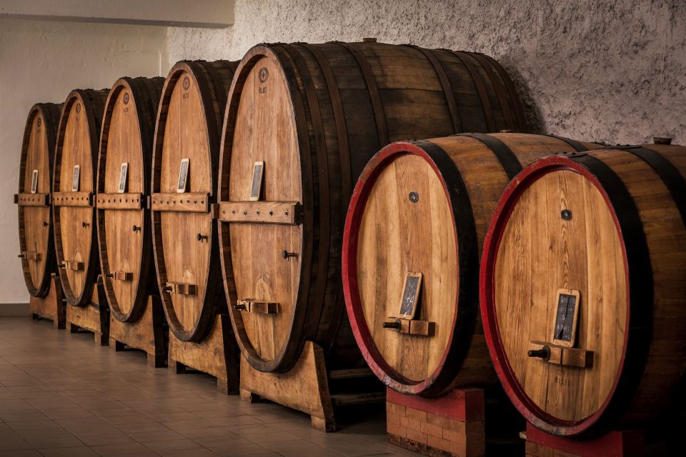 Assisi: Organic Wine and Cheese Tasting - Transportation Options
