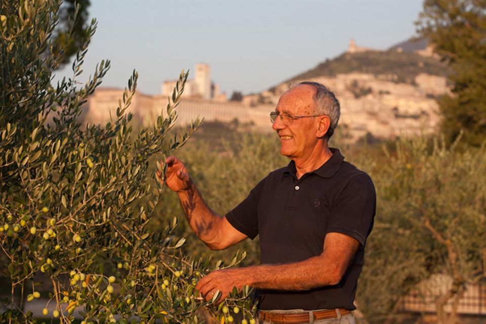 Assisi: Wine Tasting, Gourmet Pairing, Walk in the Vineyards - Booking Information