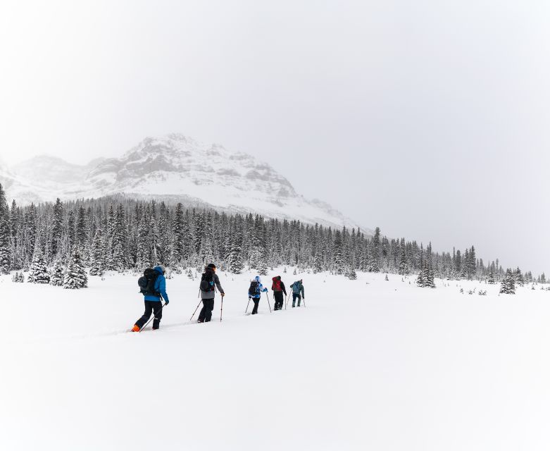 AST 1: Avalanche Skills Training Level 1 - Included Equipment