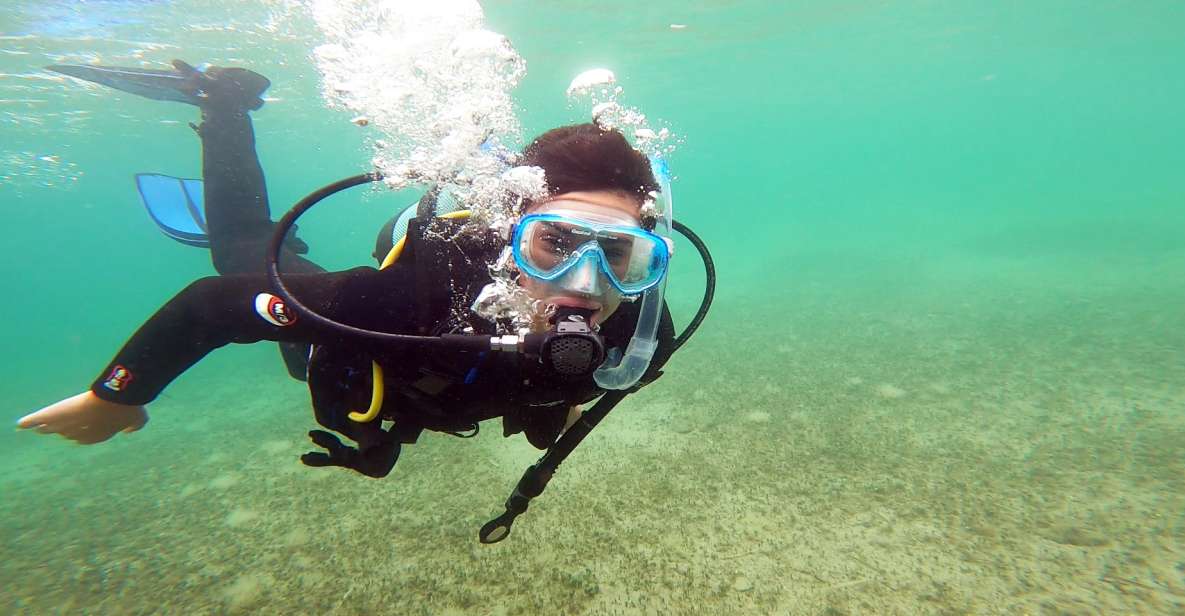 Athens East Coast: Padi Open Water Diver Course in Nea Makri - Meeting Point Information