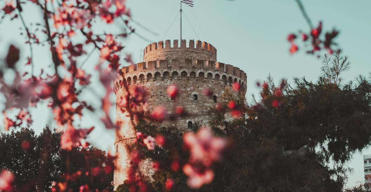 Athens to Thessaloniki Private Trasfer - Onboard Experience