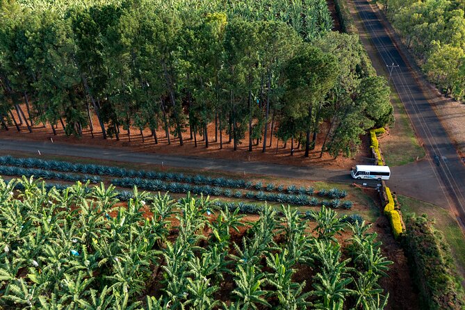 Atherton Tablelands Small-Group Food & Wine Tasting Tour From Port Douglas - Guides and Their Expertise