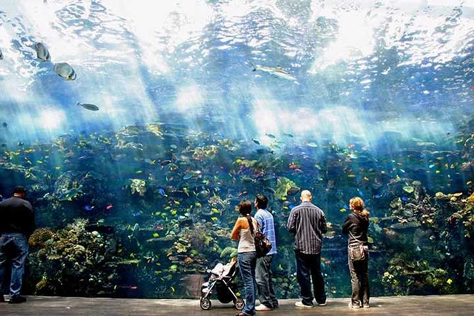 Atlanta CityPASS® - Zoo Atlanta Features