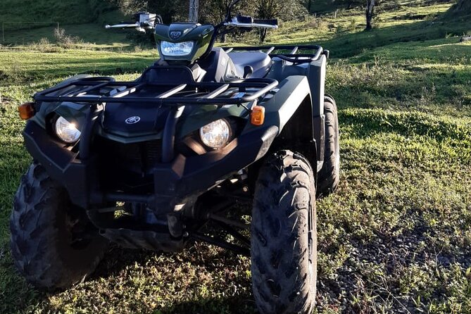ATV Guided Experience in La Fortuna, Arenal Volcano - Wildlife and Nature Sightings