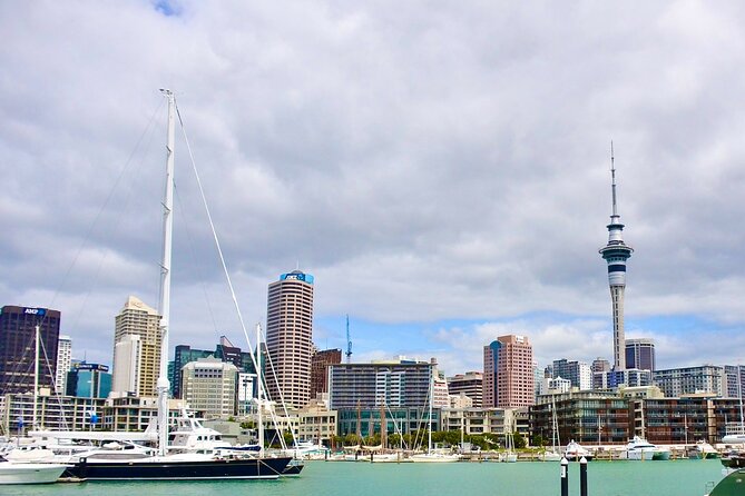 Auckland Best Spots + Piha Beach and Rainforest Day Tour - Exploring the Rainforest