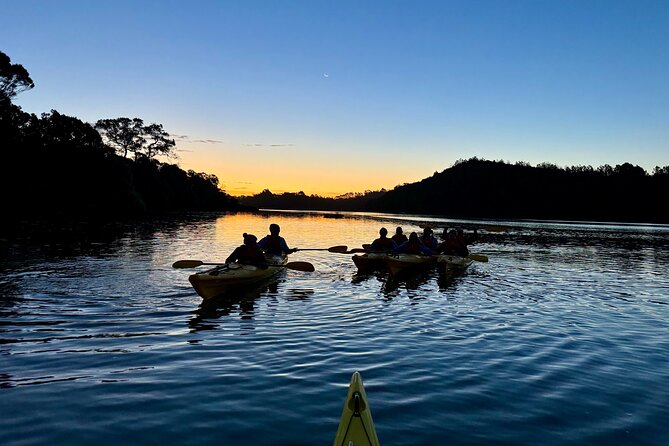 Auckland Bioluminescence Kayak Tour - Meeting and Pickup Information