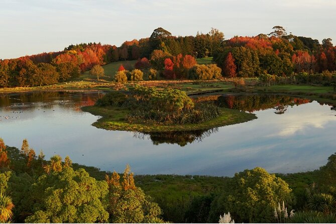 Auckland Nature Tour - Traveler Feedback