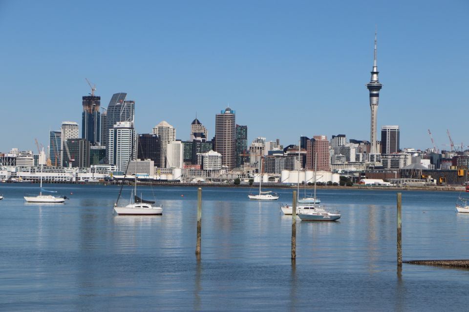 Auckland: Ship to Shore Half-Day Excursion - Experience Highlights